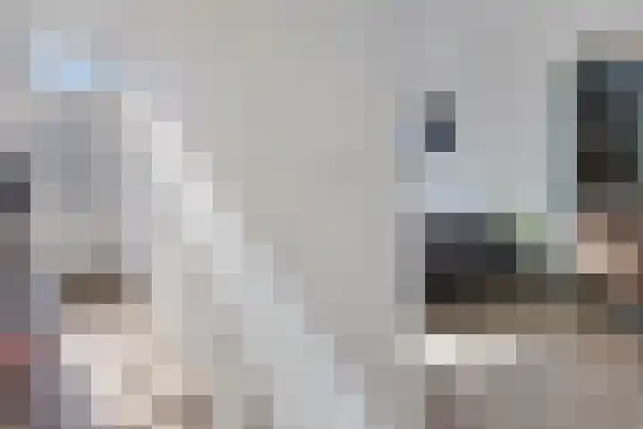 Hollandiastraat 41 Scharsterbrug thumbnail 9