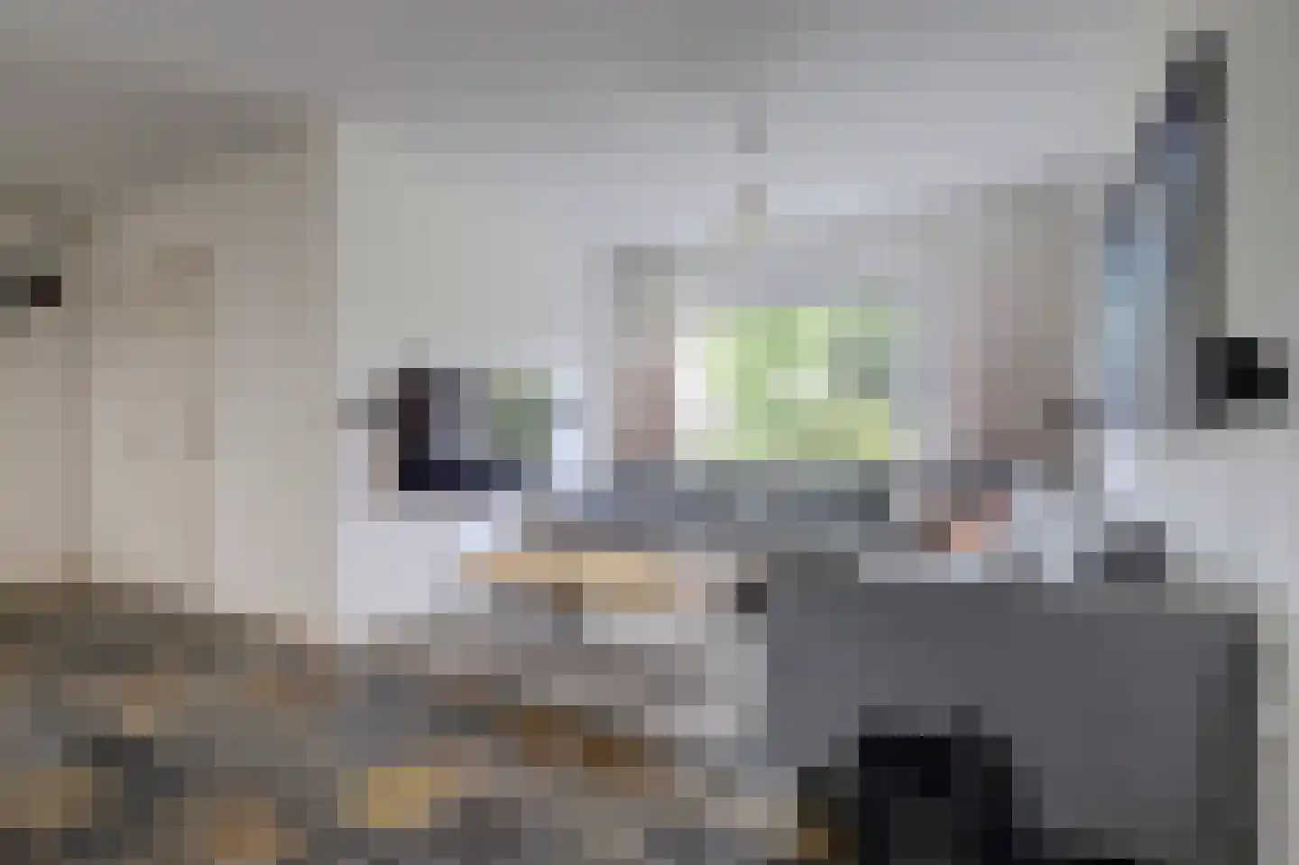 Hollandiastraat 6 Weert thumbnail 7