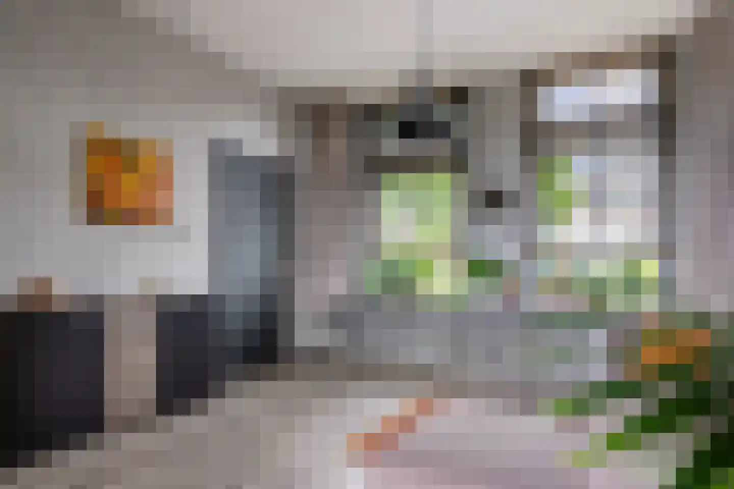Hollandiastraat 76 Scharsterbrug thumbnail 16