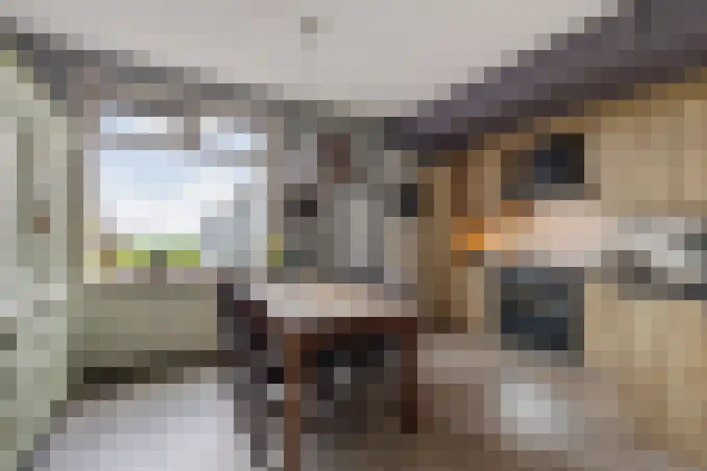 Hollandiastraat 76 Scharsterbrug thumbnail 17