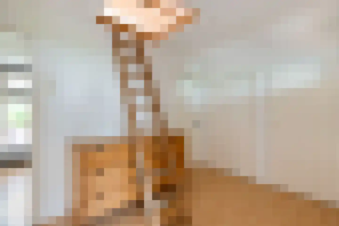 Hollandiastraat 76 Scharsterbrug thumbnail 30