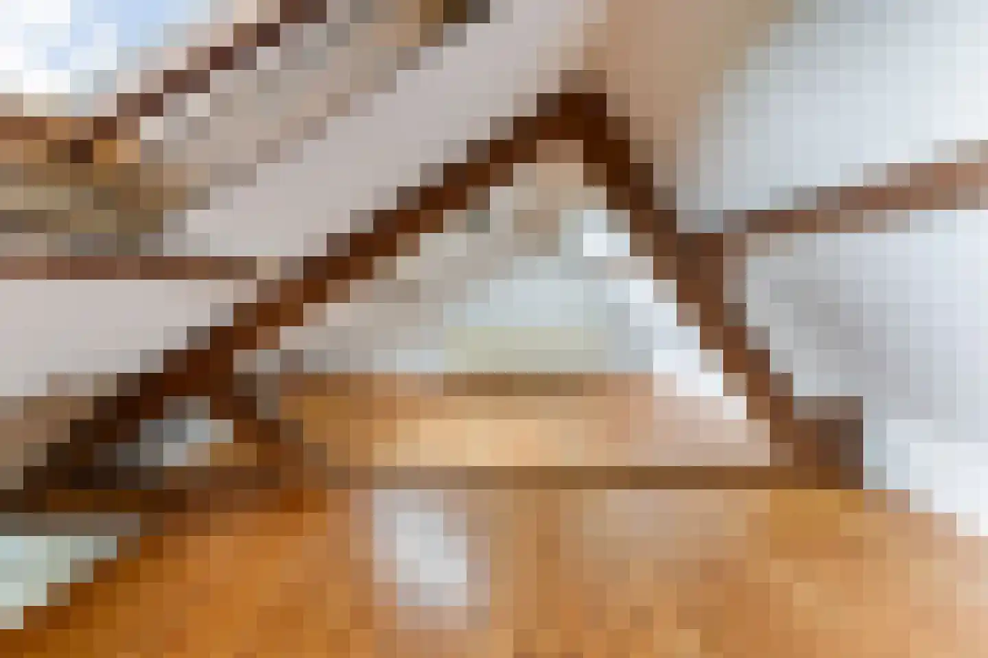 Hollandiastraat 76 Scharsterbrug thumbnail 32