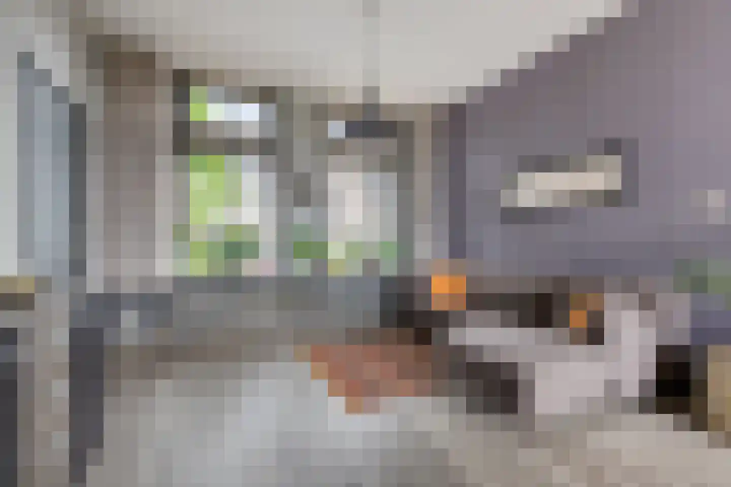Hollandiastraat 76 Scharsterbrug thumbnail 4