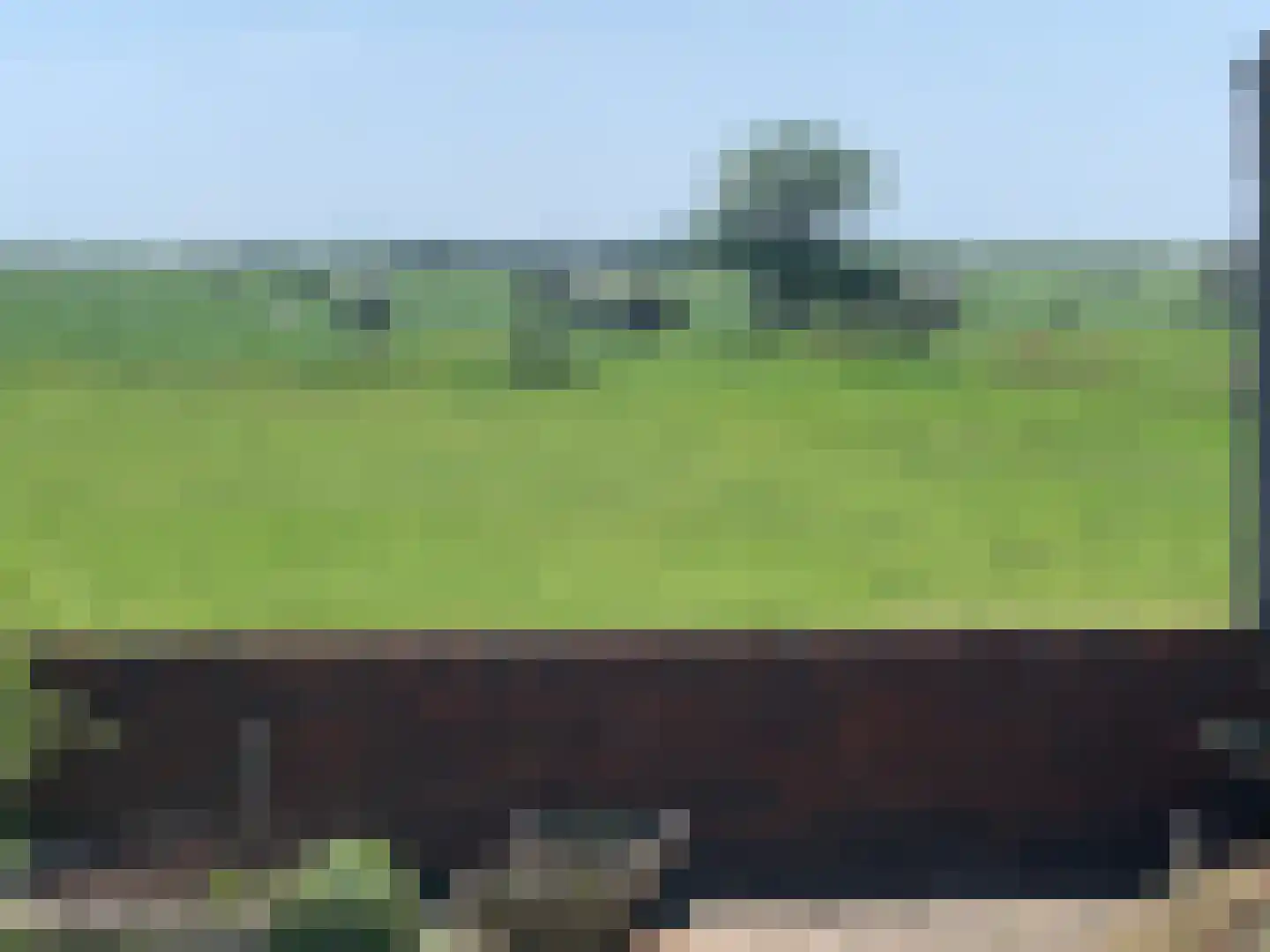 Hollandiastraat 76 Scharsterbrug thumbnail 45