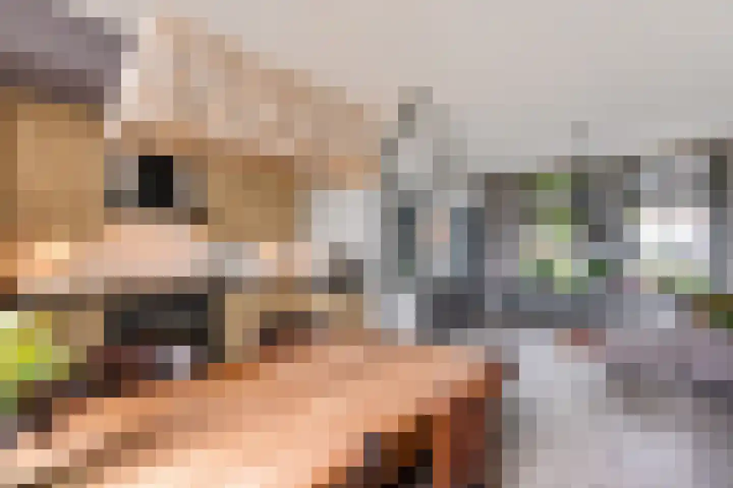 Hollandiastraat 76 Scharsterbrug thumbnail 5