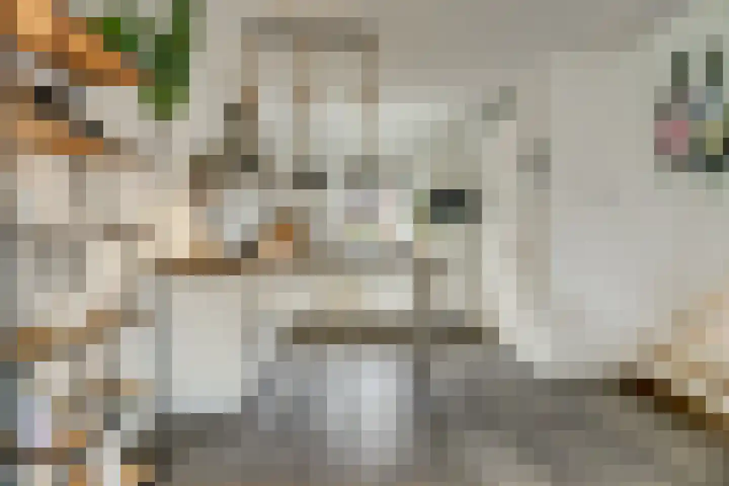 Hollandlaan 14 Drunen thumbnail 10