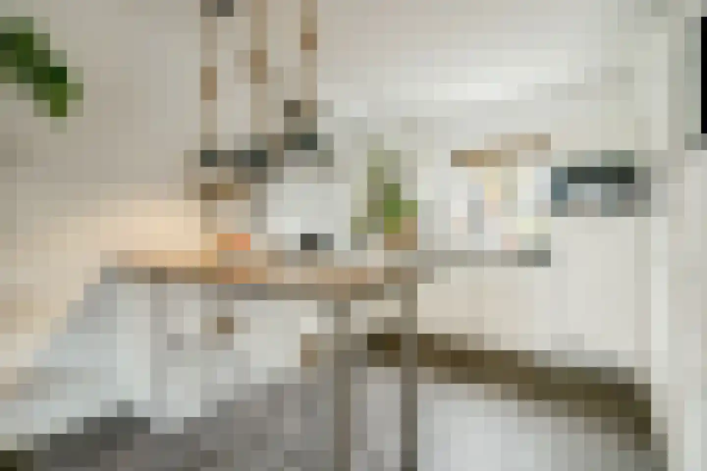 Hollandlaan 14 Drunen thumbnail 11