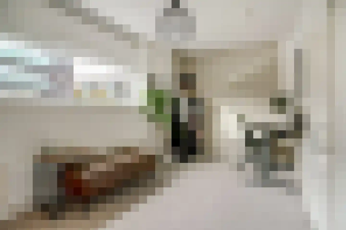Hollandlaan 14 Drunen thumbnail 23