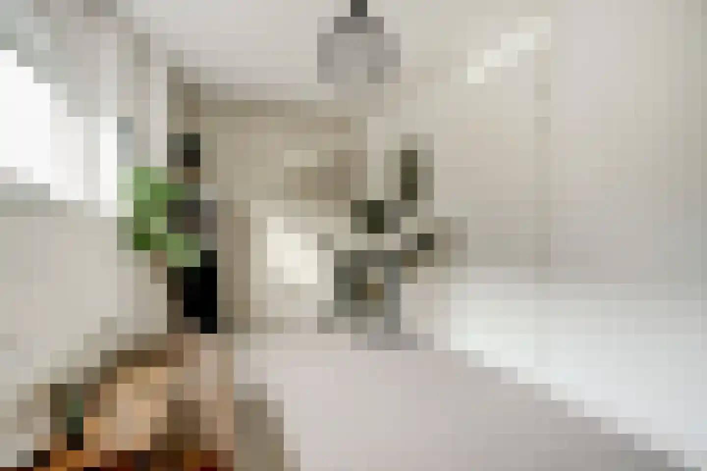 Hollandlaan 14 Drunen thumbnail 24