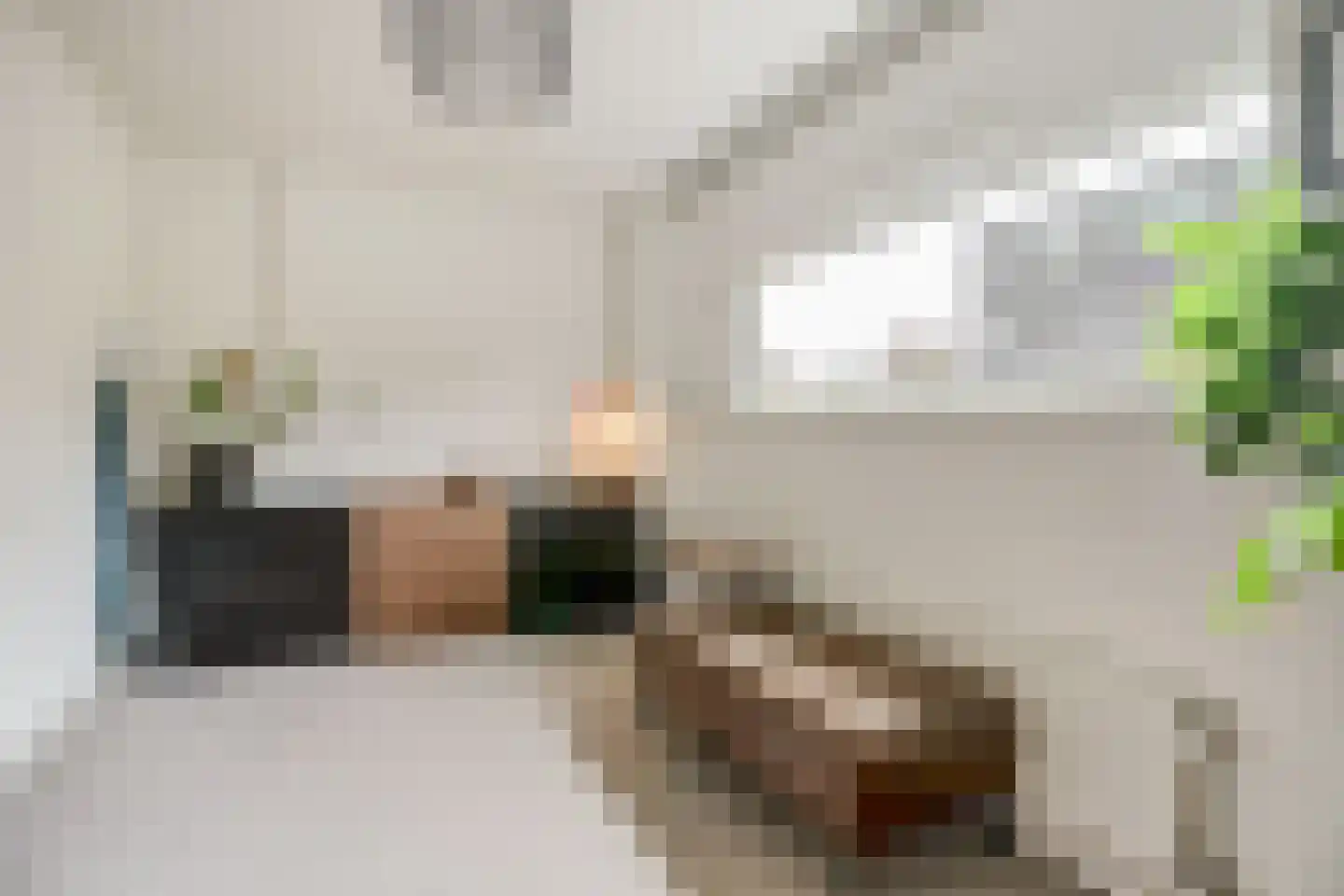 Hollandlaan 14 Drunen thumbnail 25