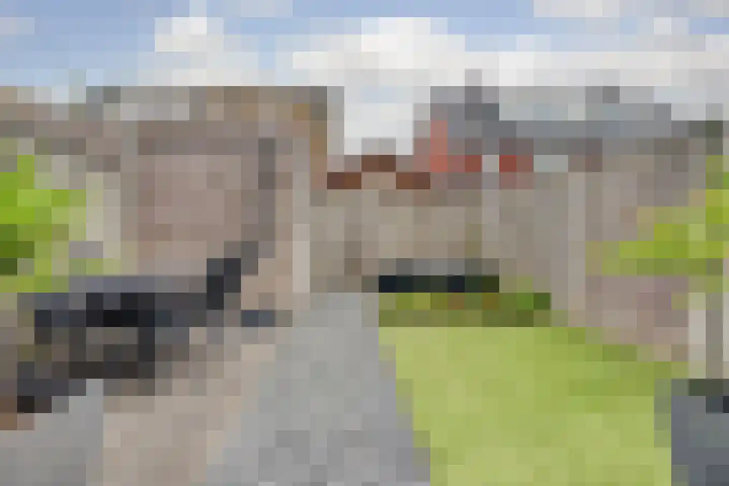 Hollandlaan 14 Drunen thumbnail 34