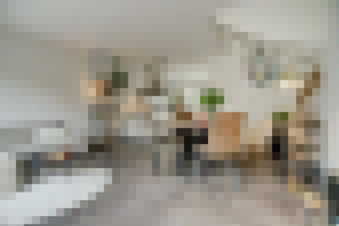 Hollandlaan 14 Drunen thumbnail 7