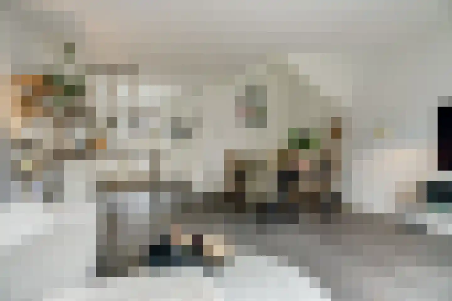 Hollandlaan 14 Drunen thumbnail 8