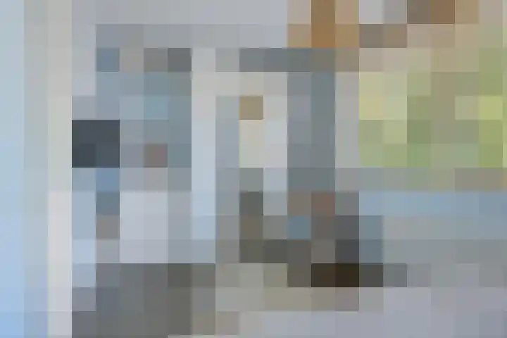 Hollandlaan 54 Drunen thumbnail 17