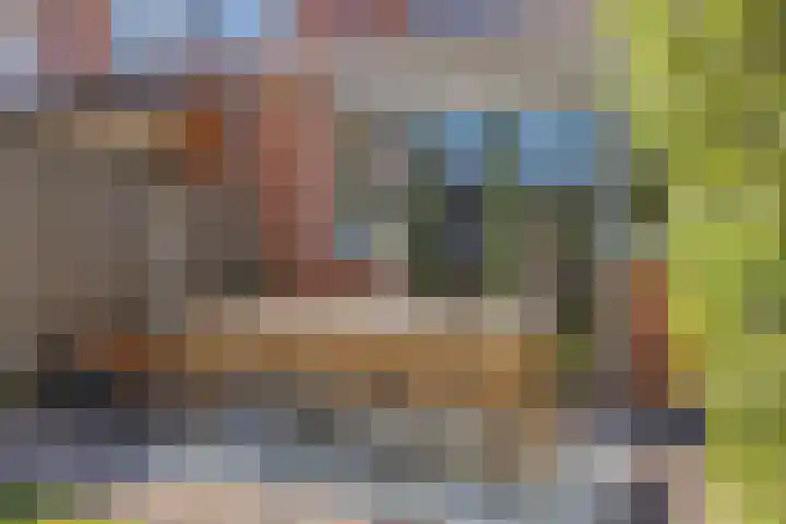 Hollandlaan 54 Drunen thumbnail 37