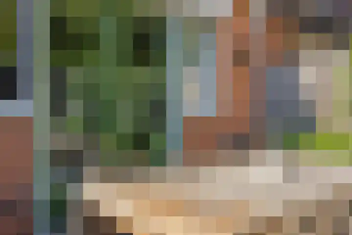 Hollandlaan 54 Drunen thumbnail 38