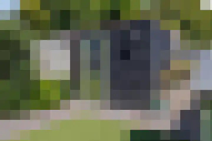 Hollandlaan 54 Drunen thumbnail 39