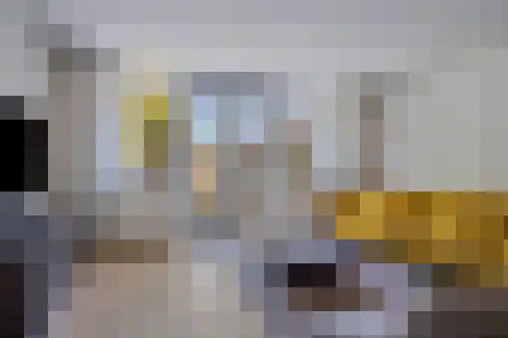 Hollandlaan 54 Drunen thumbnail 4