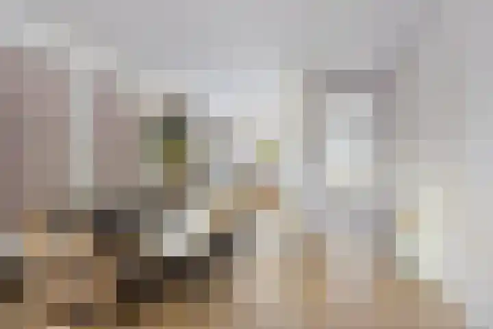 Hollandlaan 54 Drunen thumbnail 5