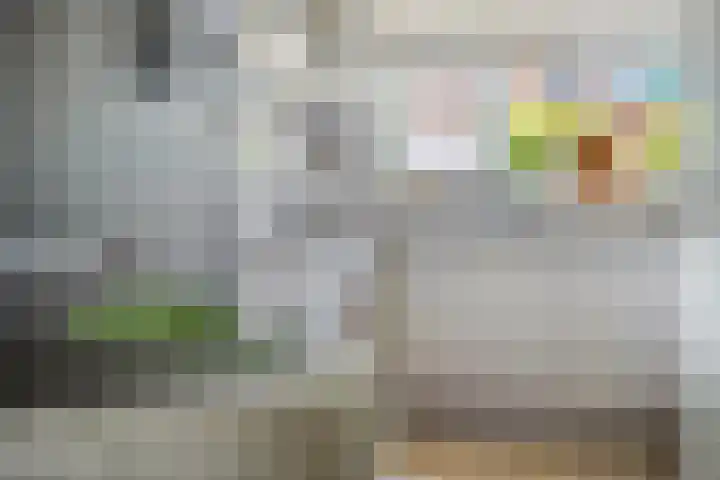 Hollandlaan 54 Drunen thumbnail 7