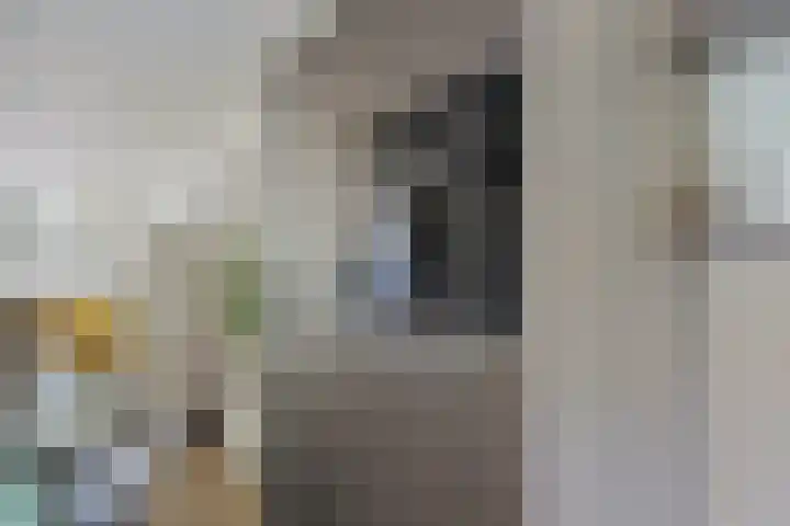 Hollandlaan 54 Drunen thumbnail 8