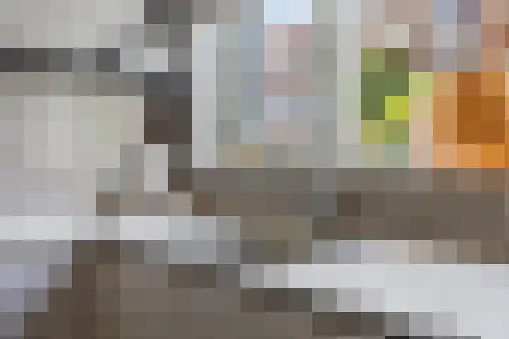 Hollandlaan 54 Drunen thumbnail 9