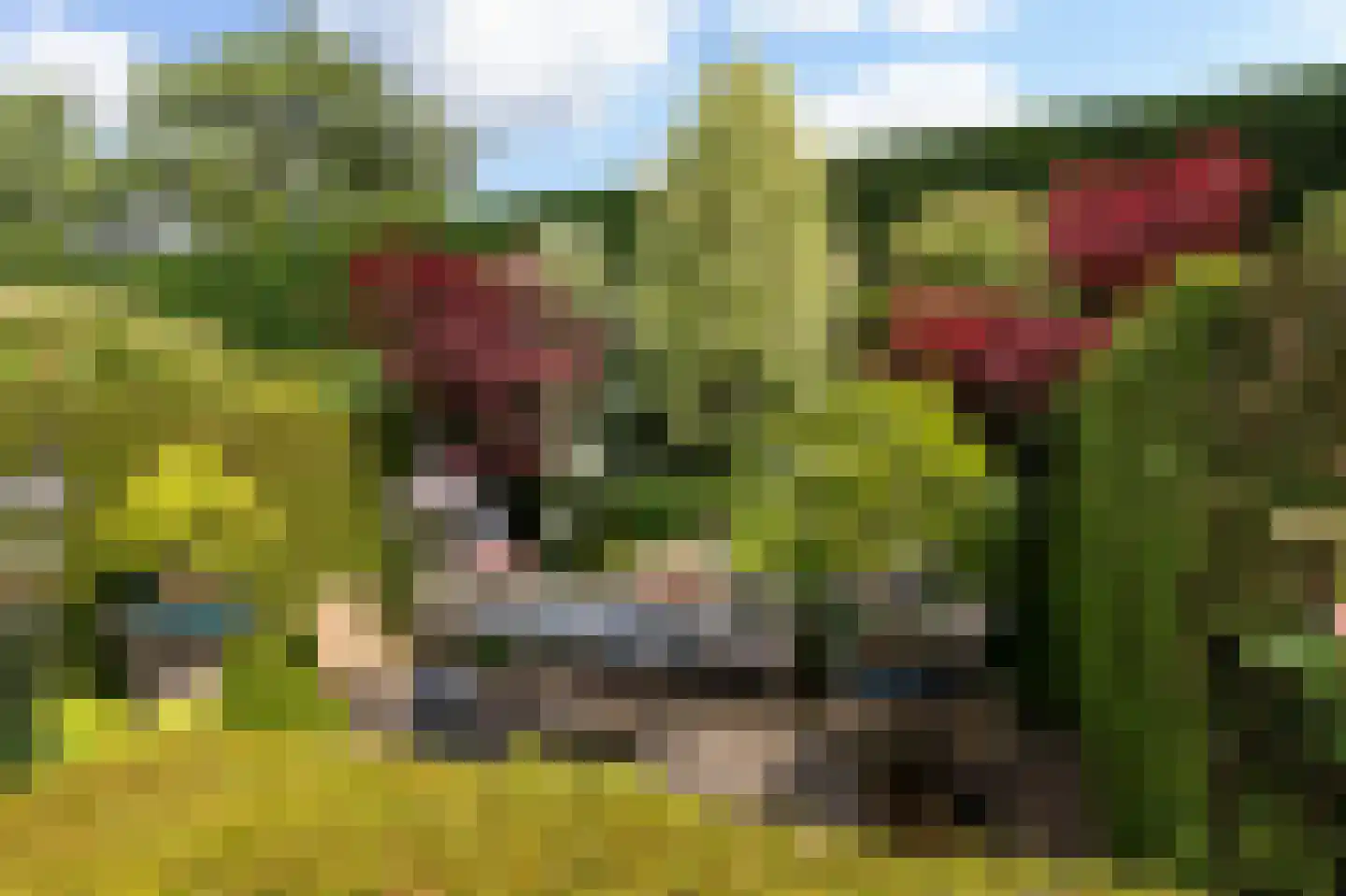 Hollands End 18 a Ankeveen thumbnail 19