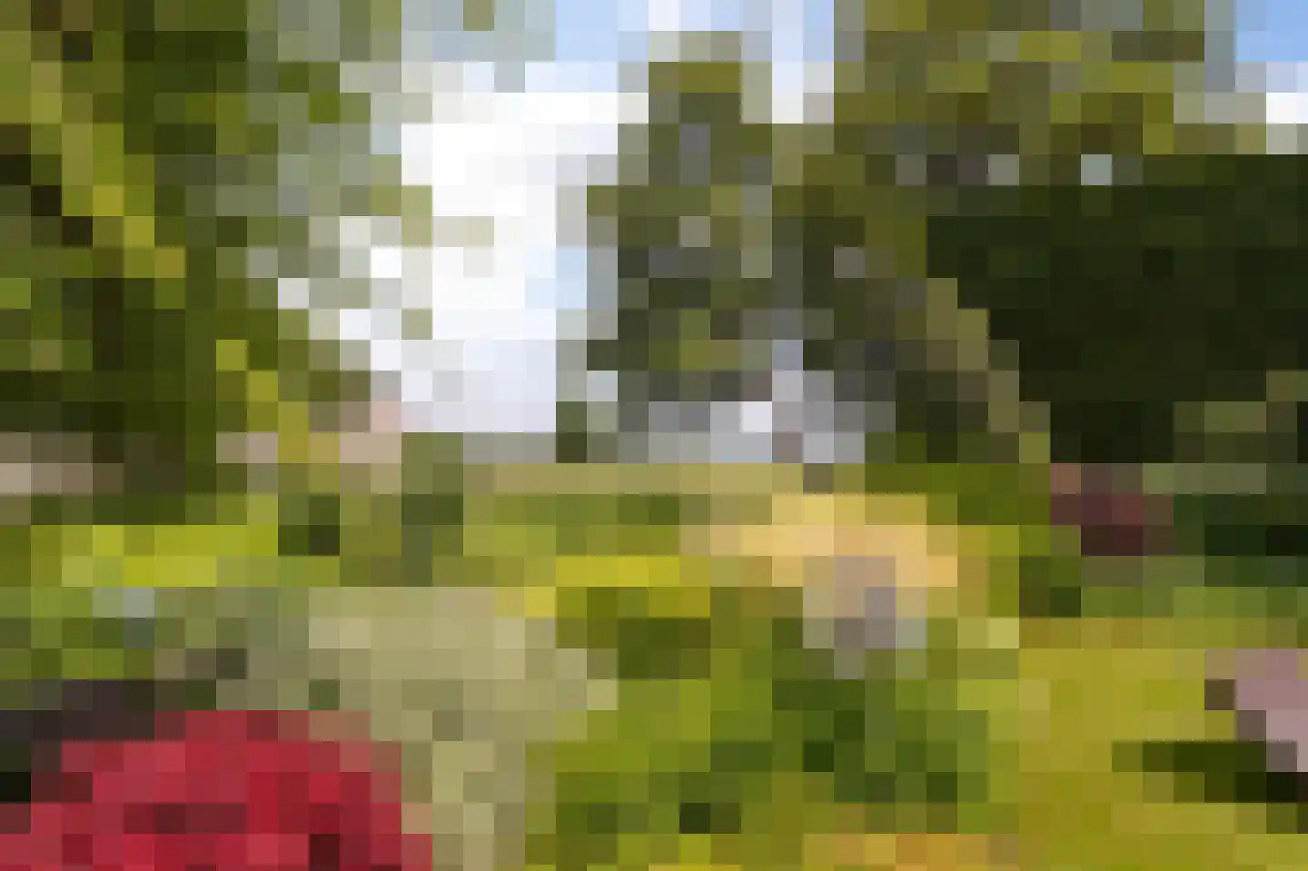 Hollands End 18 a Ankeveen thumbnail 21