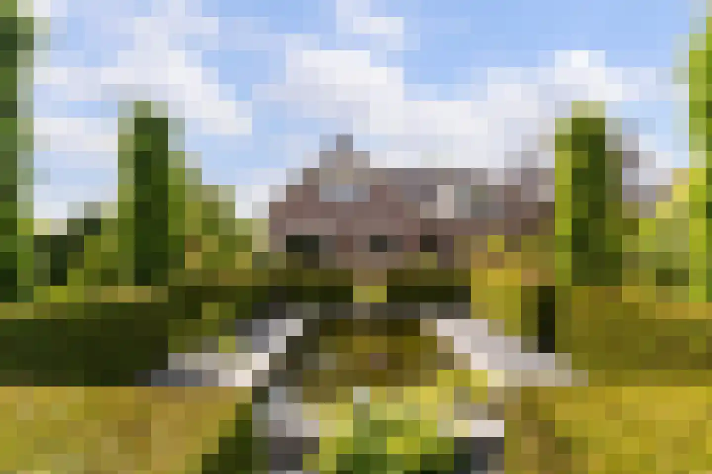 Hollands End 18 a Ankeveen thumbnail 22