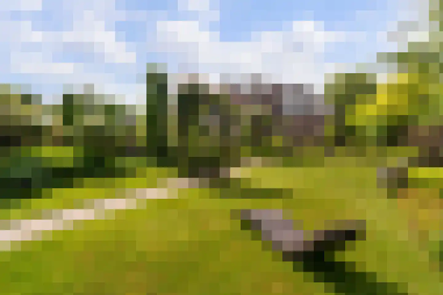 Hollands End 18 a Ankeveen thumbnail 25