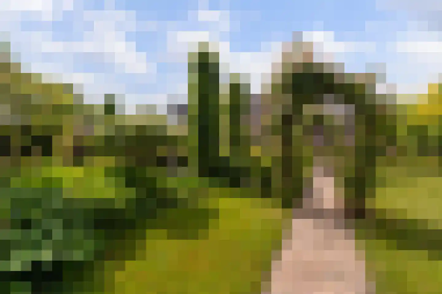 Hollands End 18 a Ankeveen thumbnail 26