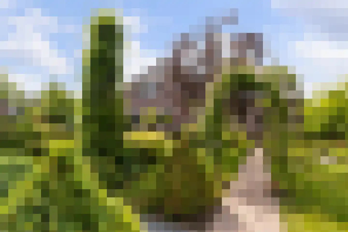 Hollands End 18 a Ankeveen thumbnail 27
