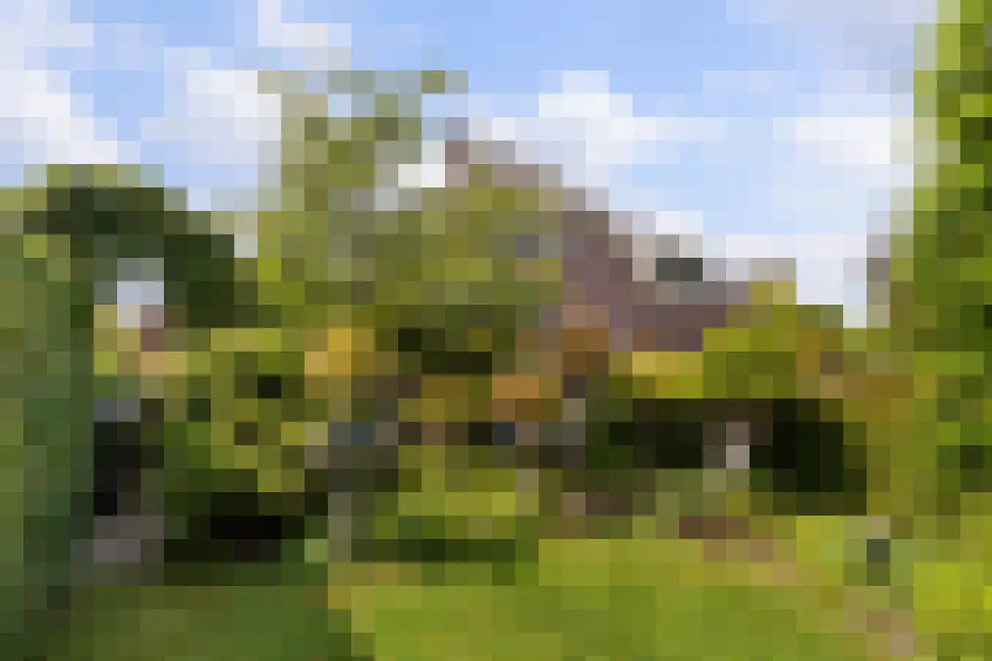 Hollands End 18 a Ankeveen thumbnail 28