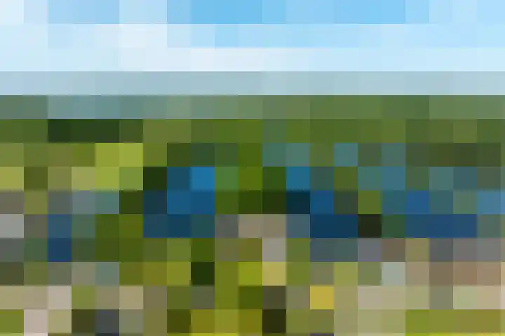 Hollands End 69 Ankeveen thumbnail 55