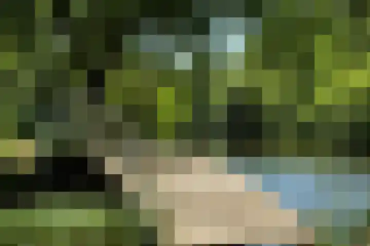 Hollands End 69 Ankeveen thumbnail 65