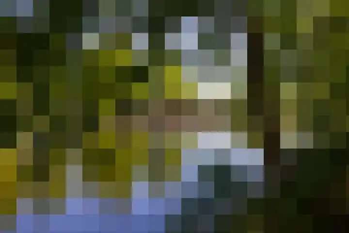 Hollands End 69 Ankeveen thumbnail 66