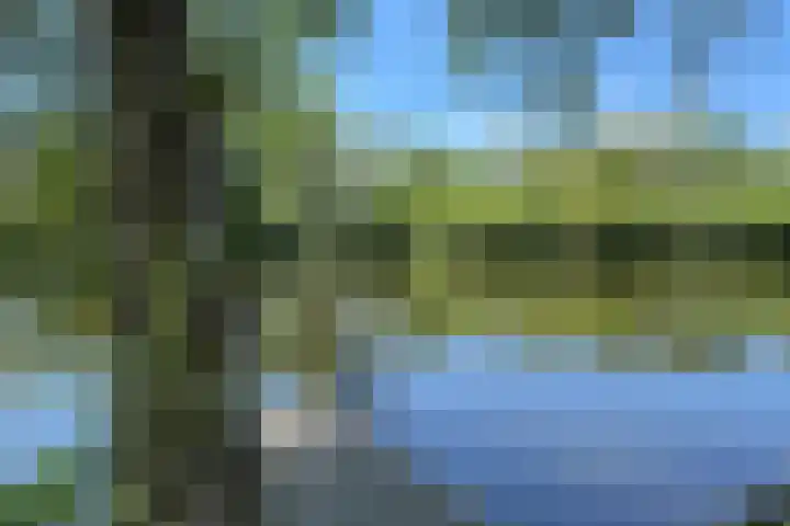 Hollands End 69 Ankeveen thumbnail 67