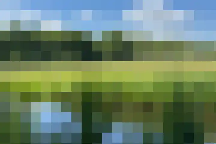 Hollands End 69 Ankeveen thumbnail 74