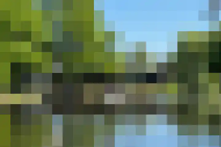 Hollands End 69 Ankeveen thumbnail 78