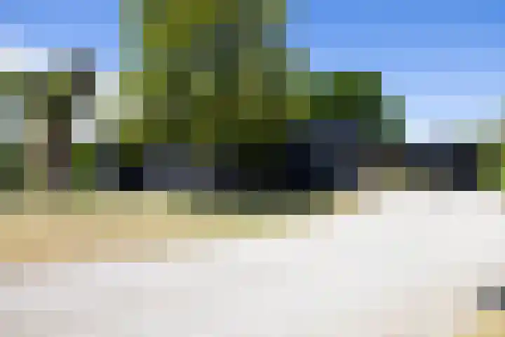 Hollands End 69 Ankeveen thumbnail 81