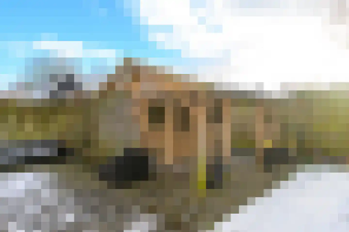 Hollands Hoen 4 Schagerbrug thumbnail 22