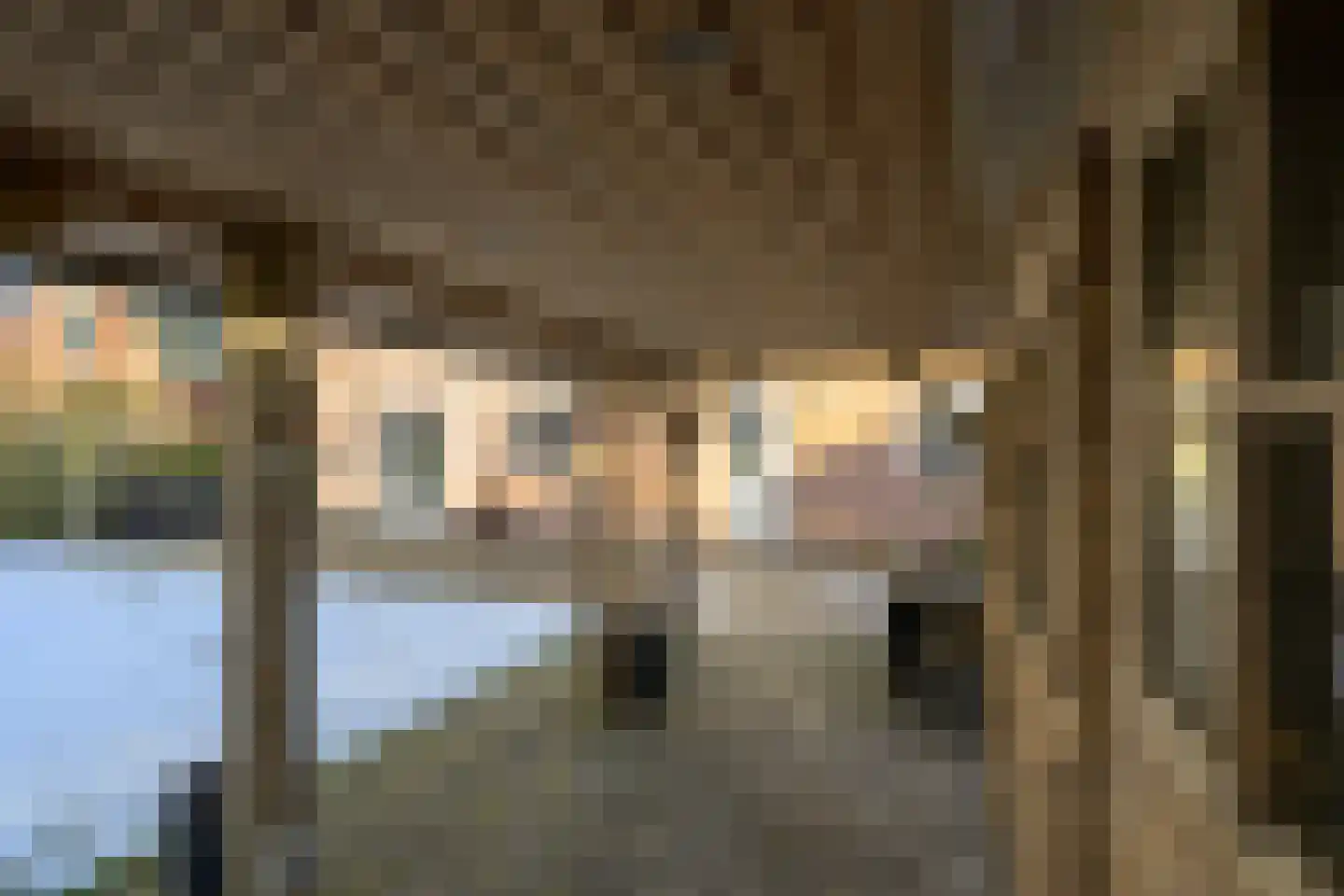 Hollands Hoen 4 Schagerbrug thumbnail 23