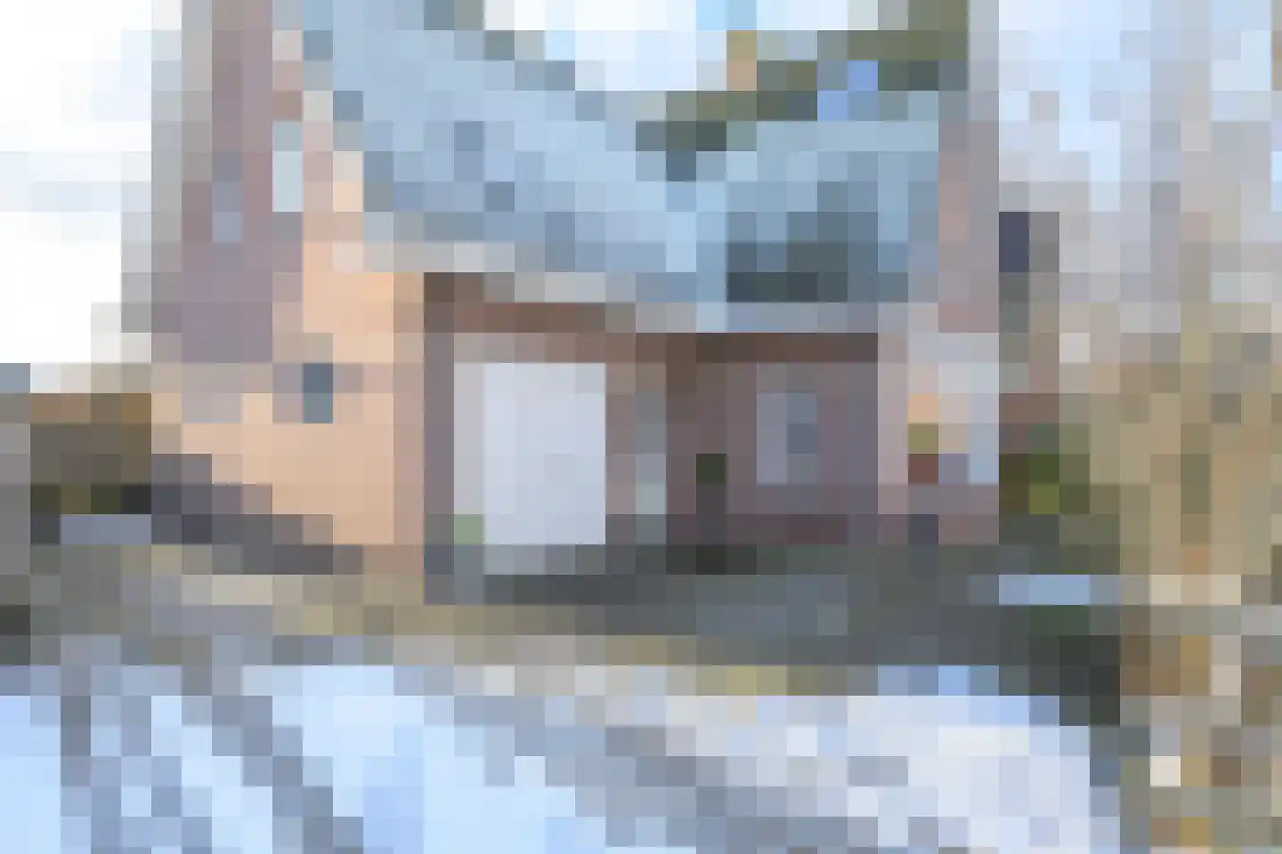 Hollands Hoen 4 Schagerbrug thumbnail 5