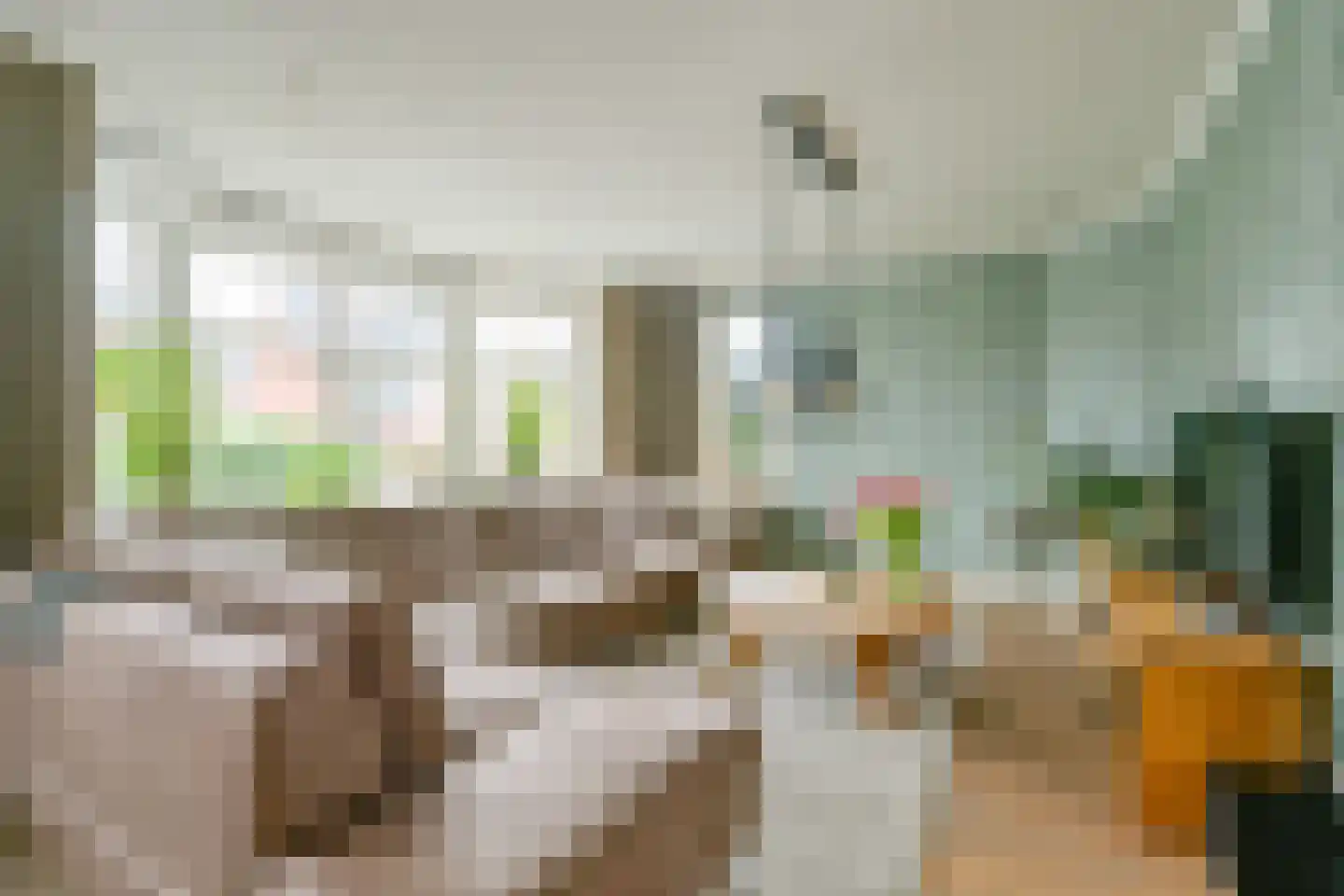 Hollands Hoen 4 Schagerbrug thumbnail 8