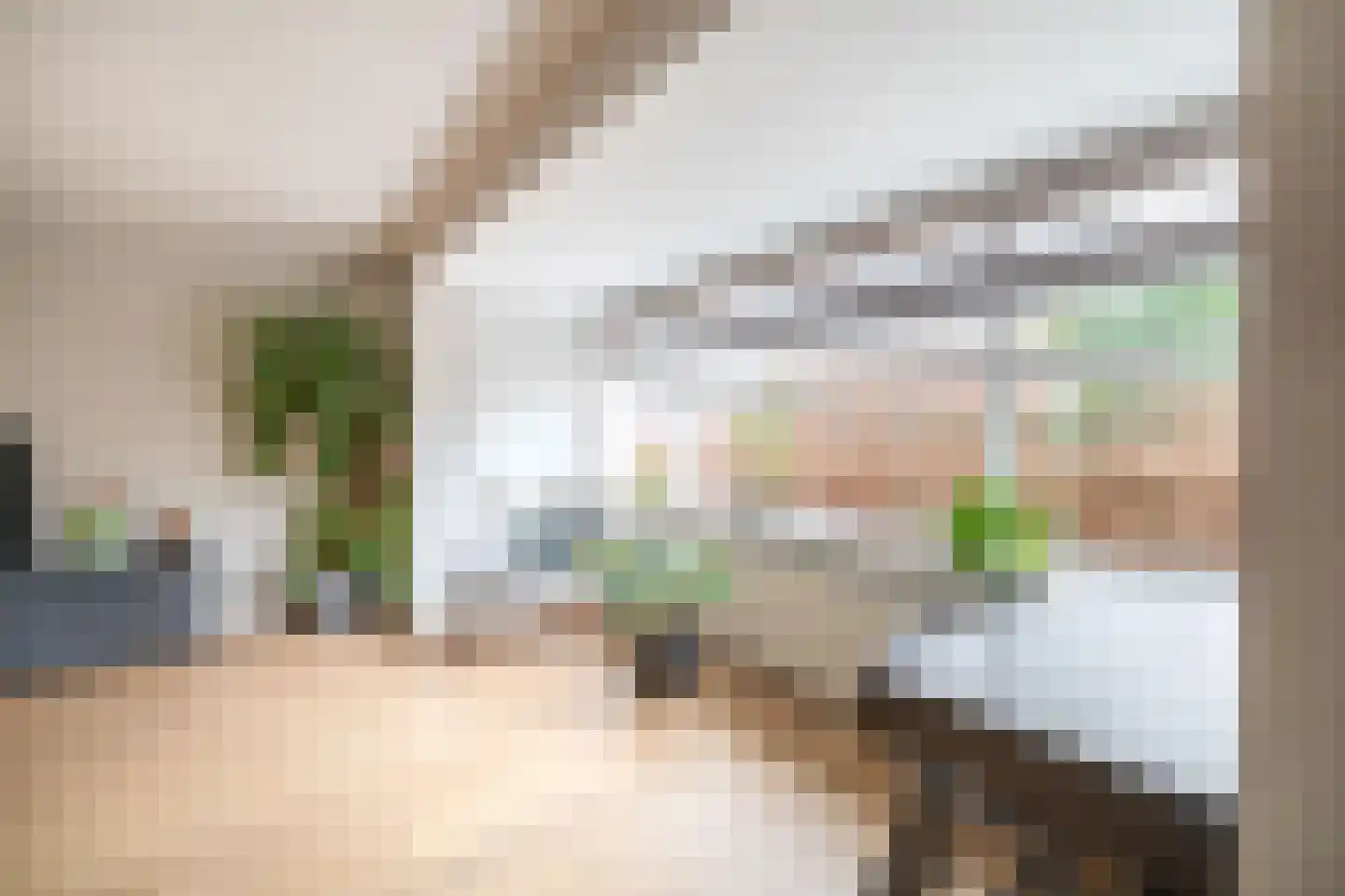 Hollands Hoen 78 Schagerbrug thumbnail 18