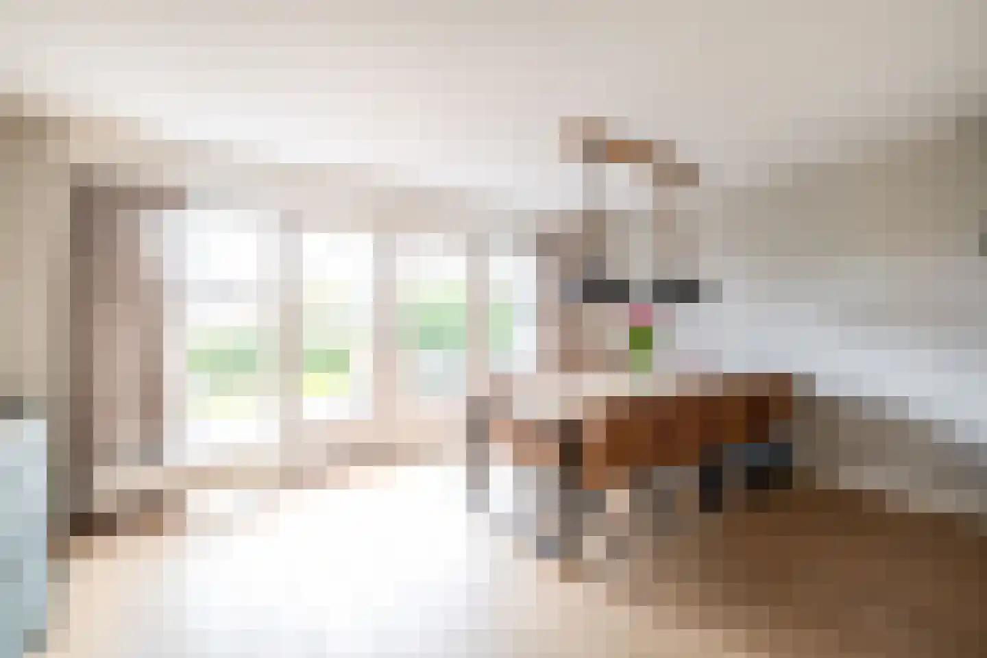 Hollands Hoen 78 Schagerbrug thumbnail 20