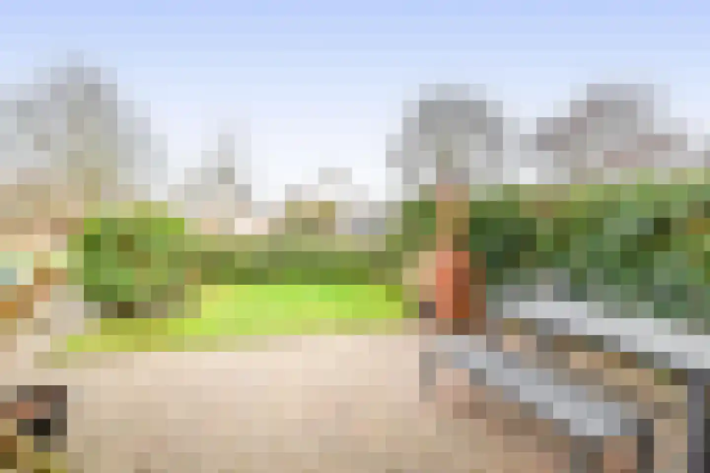 Hollands Hoen 78 Schagerbrug thumbnail 28