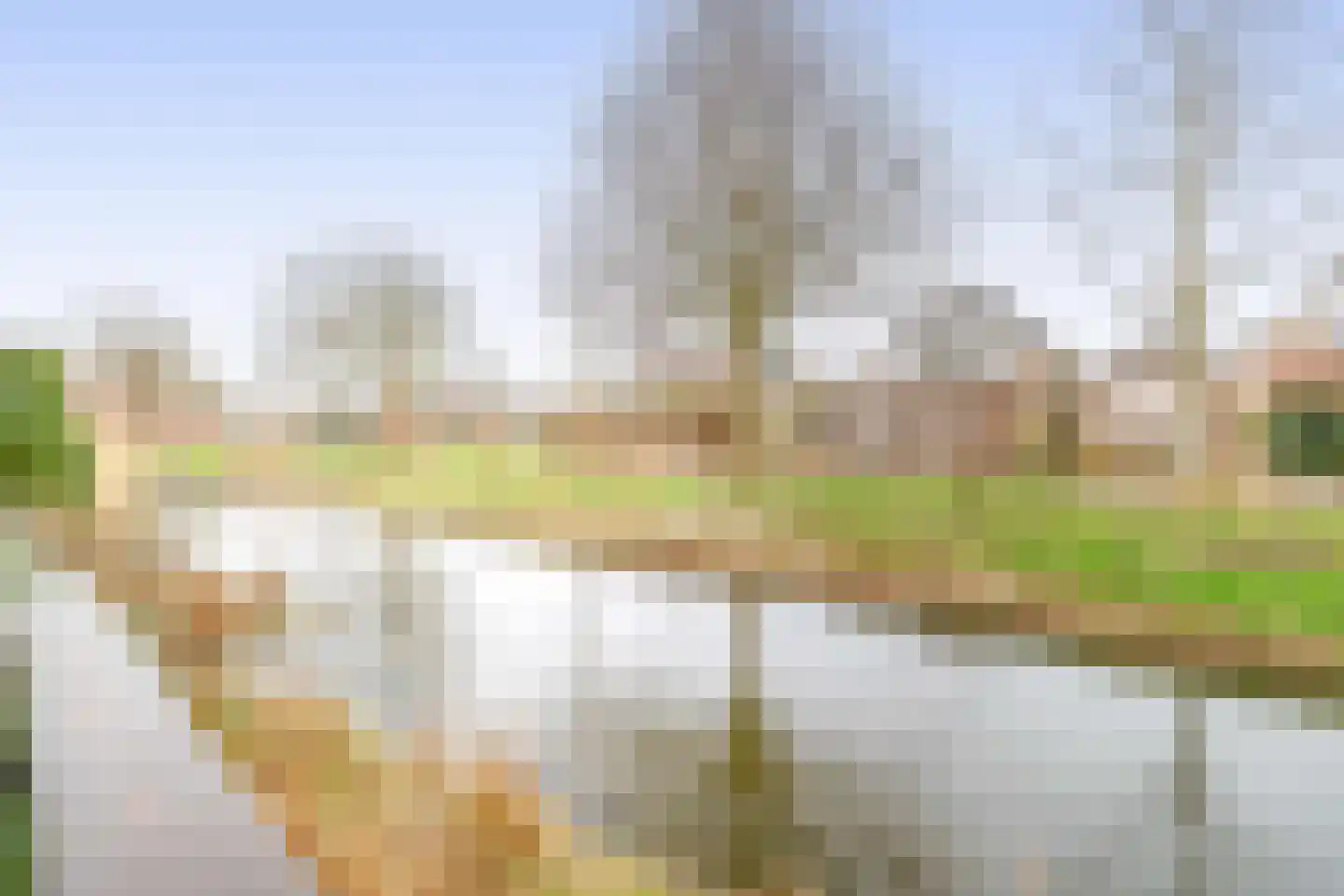 Hollands Hoen 78 Schagerbrug thumbnail 29