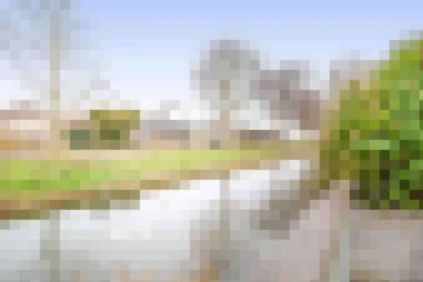 Hollands Hoen 78 Schagerbrug thumbnail 30