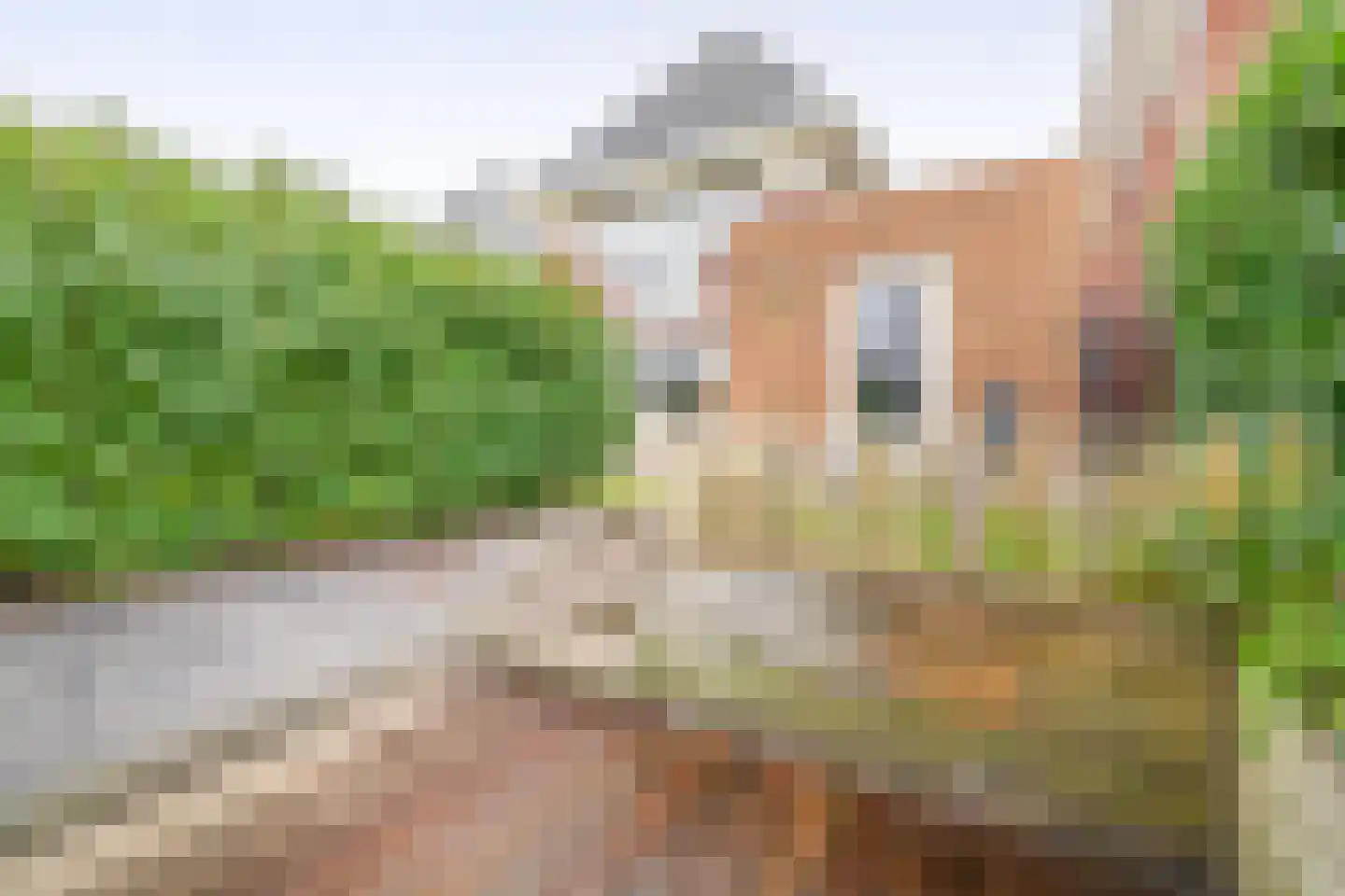 Hollands Hoen 78 Schagerbrug thumbnail 31